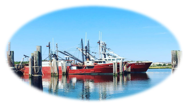 Long Beach Island Sellers | LBI NJ Real Estate | Long Beach Island New Jersey