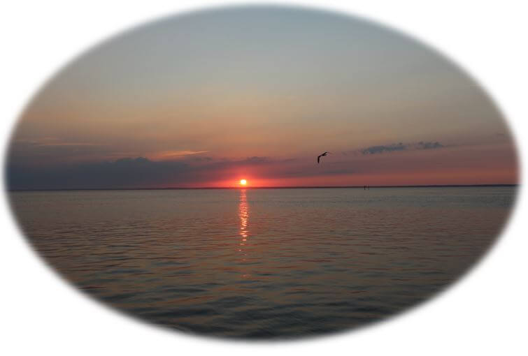 Long Beach Island Flood Insurance | LBI NJ Real Estate | Long Beach Island New Jersey