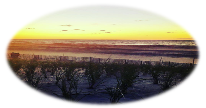 Long Beach Island Sellers | LBI NJ Real Estate | Long Beach Island New Jersey